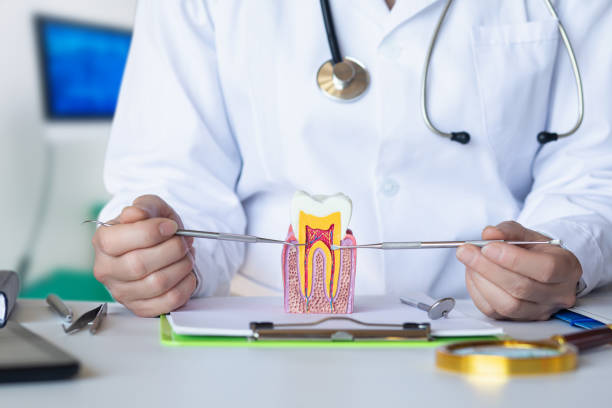 Best Pediatric Emergency Dentist in Colonia, NJ